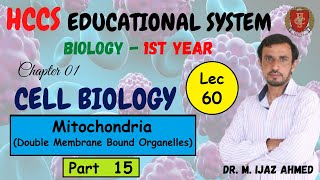 Mitochondria  Double Membrane Bound Organelles  Part 15  Chapter 1  1ST YEAR  Dr IJAZ  LEC60 [upl. by Ateuqahs268]