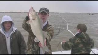 Lake Erie Spring Walleye [upl. by Kelwen]