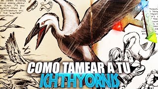 COMO TAMEAR A TU ICHTHYORNIS  Guia Español  Ark Survival Evolved [upl. by Gleich459]