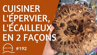 192Cuisiner lépervier ou lécailleux en 2 façons Sarcodon imbricatus [upl. by Edobalo830]