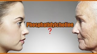 Phosphatidylcholine Lecithin Lesser Known AntiAging and Memory Supplements [upl. by Eldora618]