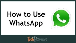 How to Use WhatsApp [upl. by Lauer517]