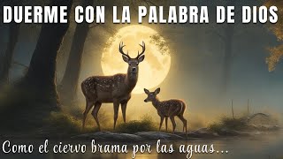 Duerme escuchando la Palabra de Dios  Biblia Hablada  3 HRS [upl. by Aenad675]