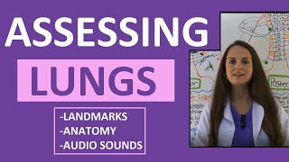 Lung Auscultation Landmarks Sounds Placement Nursing  Assessing Lungs Part 1 [upl. by Tarttan]