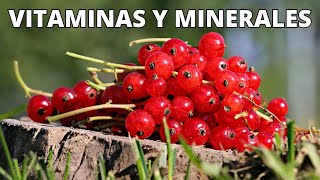 ¿Cuáles son las VITAMINAS y MINERALES de la Grosella Beneficios y tipos de GROSELLA [upl. by Niuq]