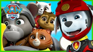 Wild Cat and PAW Patrol Moto Pups save Humdingers Cats  PAW Patrol  Cartoons for Kids Compilation [upl. by Kopple]