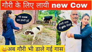 गौरी के लिये लायी new Cow 😍  अब गौरी भी डाले गी गास😀  पापा ने दिया Gift 😳 dailyvlogs [upl. by Annaeiluj]