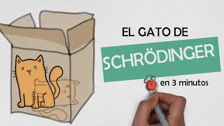 🙀 El GATO de SCHRÖDINGER en 3 minutos explicación sencilla  FÍSICA FÁCIL [upl. by Yedoc913]