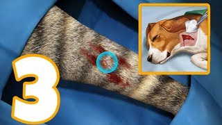 OPERATE NOW ANIMAL HOSPITAL  Gameplay Walkthrough Part 3 Android  Animal Emergency Room [upl. by Rehm]