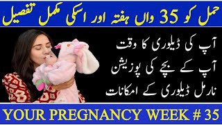 35 Week Pregnant  Hamal Ka 35 Hafta  35th Week Of Pregnancy [upl. by Sivi]