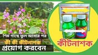 শিম গাছে ফুল আসার পর কী কী কীটনাশক প্রয়োগ করবেন  শিম গাছে কীটনাশক প্রয়োগ  শিম চাষ  হাইব্রিড শিম [upl. by Acisset]