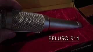 Demo of Peluso r14 Ribbon Microphone Jesse Ray Shelby [upl. by Parsifal775]