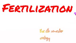 Fertilization  Capacitation Acrosome penetration  Bsc 6th semester zoology unit 5 [upl. by Ecnerual]