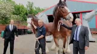 Creating the Kelpies 2015 UK Documentary Full HD [upl. by Weinert]