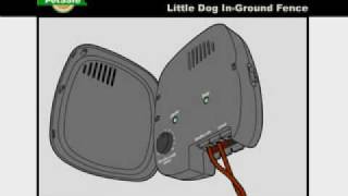 PetSafe—How to Troubleshoot the InGround Fence for Little Dogs [upl. by Gavriella]