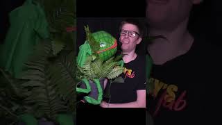 Homemade Audrey II Puppet Little Shop of Horrors [upl. by Kalil542]