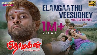 Elangaathu Veesudhey Video Song 4K Remastered  Pithamagan  Ilaiyaraaja  Vikram  Suriya [upl. by Broderick]