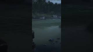 RDR2 online  Another Great Location for Sockeye Salmon  Succulent Fish [upl. by Benedick]