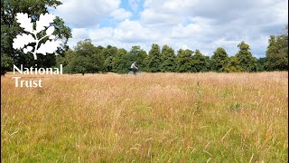 Go behind the scenes at Calke Abbey with the National Trust [upl. by Elane590]