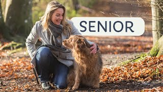 My Partner with the grey Snout  what your SENIOR Dog needs now [upl. by Hakon]