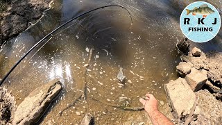 Spinning for 3 Different Species at the Elmore Weir [upl. by Sarchet]