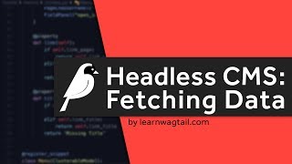 Headless Wagtail CMS Fetching Specific Fields from the v2 API [upl. by Fidelio]