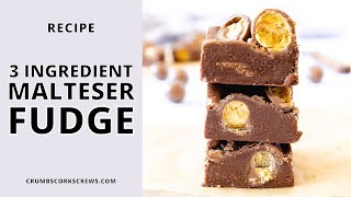 3 INGREDIENT Malteser Fudge  Step by Step No Bake Recipe [upl. by Naujahs]