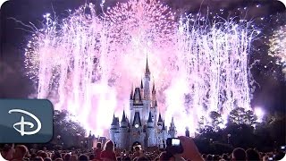 Forty Years of Fireworks  Walt Disney World [upl. by Uda]