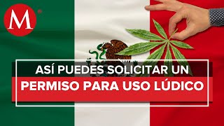 ¿Cómo obtener permiso de la Cofepris para consumir mariguana [upl. by Darnoc]