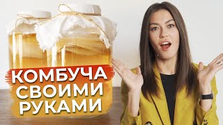 Чайный гриб – ЭТО ПОЛЕЗНО  Как приготовить комбучу в домашних условиях [upl. by Yneffit]