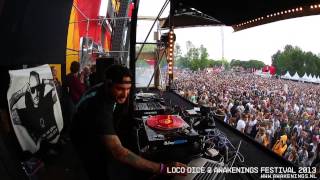 Loco Dice  Awakenings Festival 2013 [upl. by Akinet]