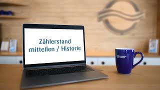 Kundenportal  Zählerstand mitteilen  Historie [upl. by Aristotle]