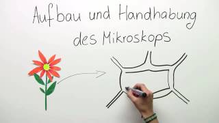 MIKROSKOP  AUFBAU UND HANDHABUNG  Biologie  Biologie der Zellen [upl. by Alexei]