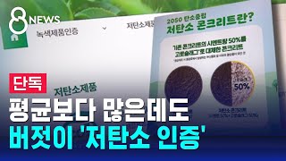 단독 평균보다 많은데 저탄소 제품…문제는 인증기준  SBS 8뉴스 [upl. by Yllime]