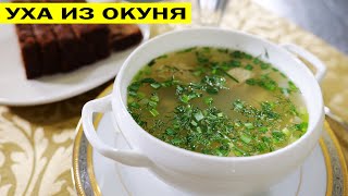 Уха из окуня На утро застывает как холодец [upl. by Ihcur]