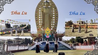 New Tibetan Song Dha Lu gorshey tibetan lhakarsang Dhalu [upl. by Anson]