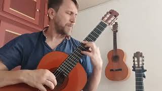 B72 Largo 2nd Movement from Vivaldis Guitar Concerto in D [upl. by Isabel73]