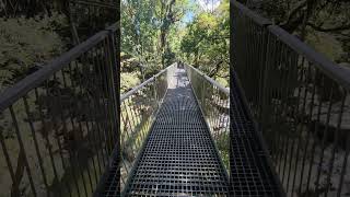 Mossman Gorge mossmangorge rainforest travel adventure northqueensland [upl. by Loftis380]