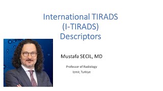 International TIRADS ITIRADS Descriptors ultrasound thyroid cancer [upl. by Asena121]