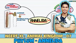 Animal Kingdom Lec 7 Phylum Annelida Class 11 NEET Neetology [upl. by Oalsecnew166]