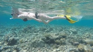 Snorkeling from the Overwater Villa at Constance Halaveli Maldives [upl. by Alard]