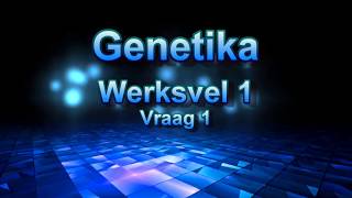 Genetika Monohibriede Kruisings met Dominansie Werksvel 1 Vraag 1 [upl. by Ahseid537]