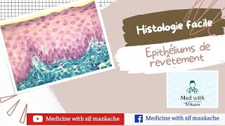 1 Les Epithéliums de Revêtement  Histologie 1ère MED [upl. by Ole]