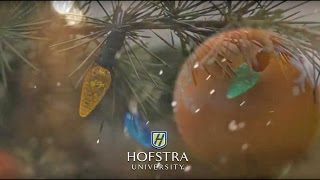 Happy Holidays from Hofstra [upl. by Allred445]