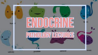 ENDOCRINE PATHOLOGY lecture 4 THYROID GLAND introduction and HYPERTHYROIDISM with scenario made easy [upl. by Nerot53]