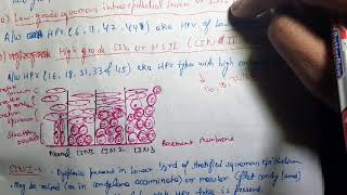 Cervical Intraepithelial Neoplasia CIN Pathology [upl. by Elli]