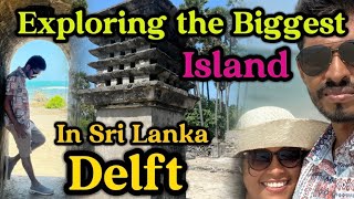 ඩෙල්ෆ් quotDelft Island Odyssey Exploring Sri Lankas Forgotten Wonderland  Travel Vlogquot island [upl. by Heim]