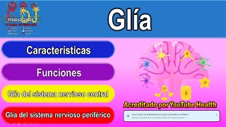 Neuroglía  Neuroglías tipos y funciones  Glía  Células gliales [upl. by Vange]