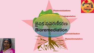 జైవికసవరణీకరణ  Bioremediation [upl. by Patterson985]