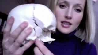 NeuroCranial Restructuring NCR Orientation Video with Dr Hillary Lampers [upl. by Artenak]